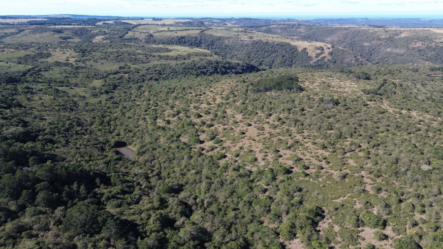 Commercial Property for Sale in Komga Eastern Cape